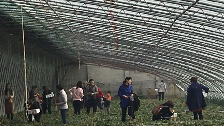 QQ图片20190304171355.jpg QQ图片20190304171355.jpg