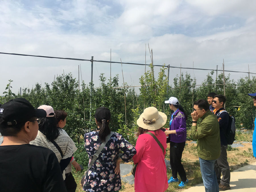 QQ图片20190528081602.jpg QQ图片20190528081602.jpg